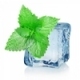 Mint Eliquid Mint Eliquid