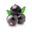 Blackcurrant eLiquid Blackcurrant eLiquid