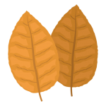 Tobacco eLiquids Tobacco eLiquids