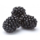 Blackberry Eliquid Blackberry Eliquid