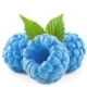 Blue Raspberry Eliquid Blue Raspberry Eliquid