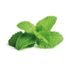 Peppermint Eliquid Peppermint Eliquid