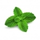 Spearmint Eliquid Spearmint Eliquid