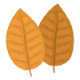 Tobacco eLiquids Tobacco eLiquids