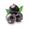Blackcurrant eLiquid Blackcurrant eLiquid