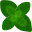 Peppermint